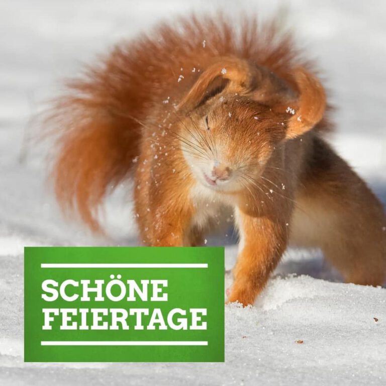 Schöne Feiertage