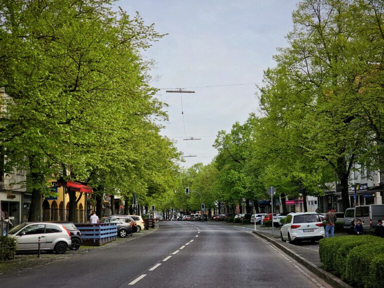 Unser Änderungsantrag zur Anzahl der zu erhaltenden Bäume auf der Kaiserstraße