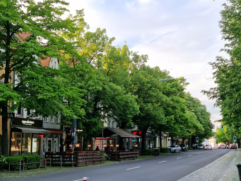 Noch stehen die Bäume auf der Kaiserstraße