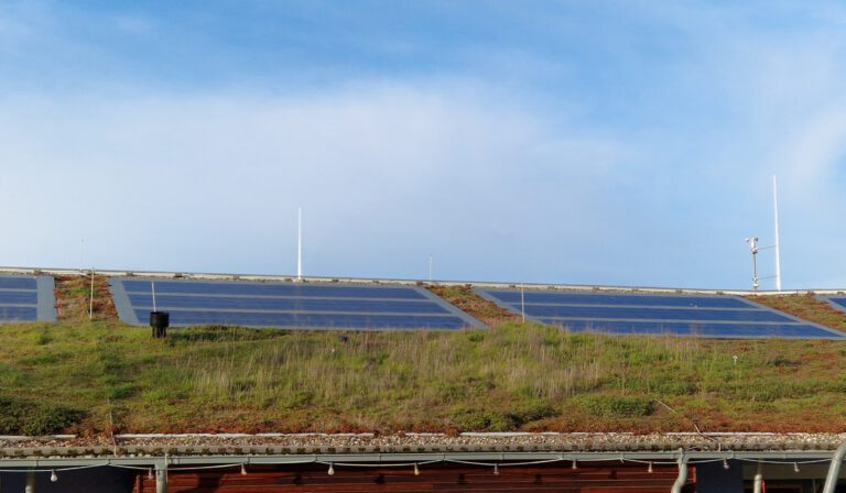PV für Mehrzweckhalle Ossenheim: Grüne fordern erneute Prüfung