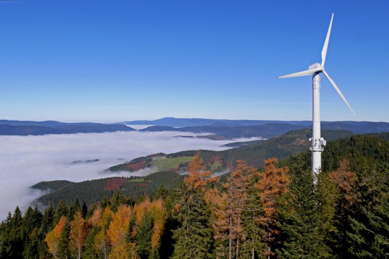 Alle Fakten nennen: Diskurs zur Windkraft auf dem Winterstein