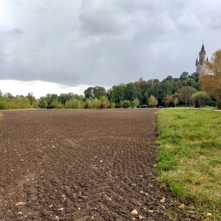 Der Kühle Grund – wird er noch eine Wiese oder was?