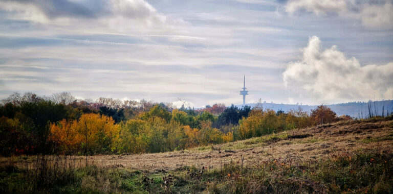 Waldschutz und Klimaschutz gehören zusammen: Friedberger Grüne werben für Versachlichung der Debatte um den Windpark Winterstein